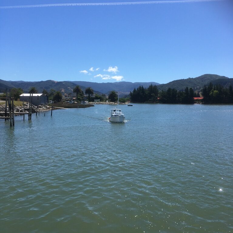 Riwaka Riwaka